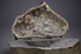 Amazing Quartz Geode Display on Stand - Spectacular #351499-9